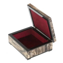 Шкатулка из окаменелое дерево 11,5х9х4,5 см