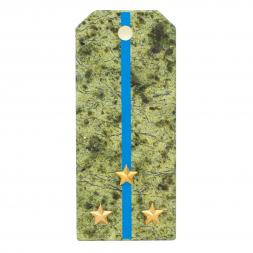 Сувенирный магнит "Погон Старший лейтенант ВВС, ВКС, ВДВ" камень змеевик