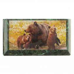 Шкатулка с иллюстрацией &amp;quot;Медведица с медвежатами&amp;quot; камень змеевик 17,5х9,5х7,5 см