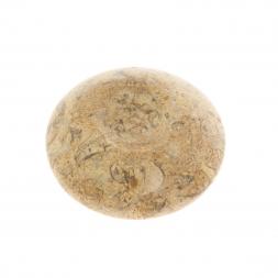 Подставка под шар/яйцо из ракушечника 5х5х1 см (2)